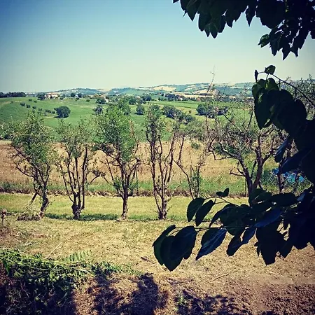 住宿加早餐酒店 Montsegur 3*